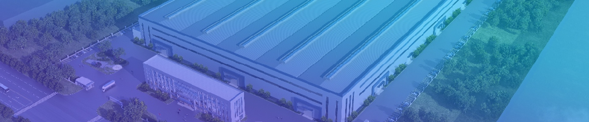 關(guān)于賽爾特